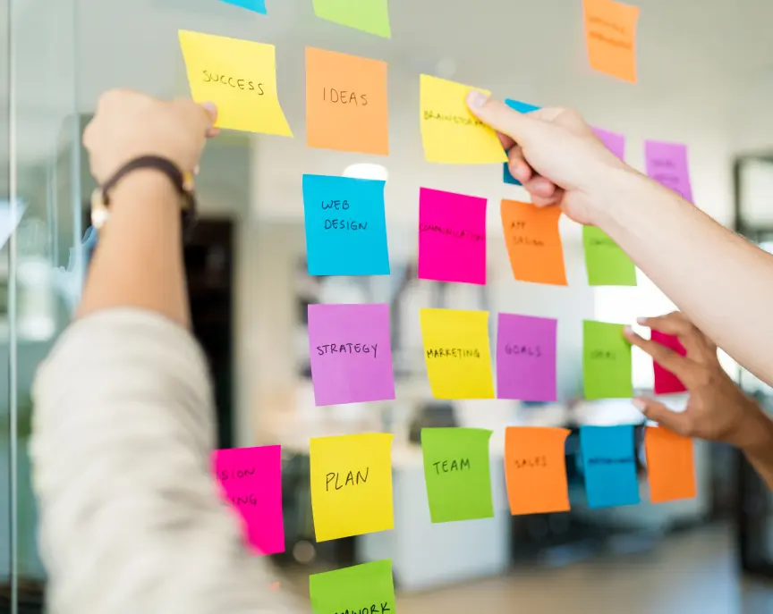 MVP Roadmap​