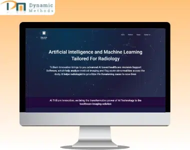 Trillium Innovation Website Portfolio